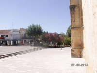 PICT3220.JPG