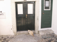 PICT3082.JPG