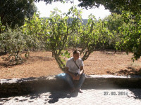 PICT3231.JPG