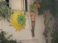 PICT3069.JPG