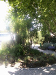 PICT3221.JPG