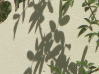 PICT3078.JPG