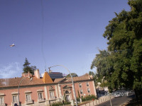 PICT2926.JPG
