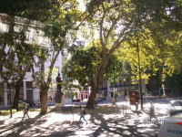 PICT2954.JPG