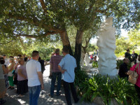 DSCN0398.JPG