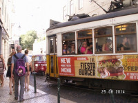 PICT2982.JPG