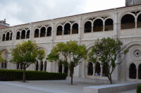 DSC_0421.JPG