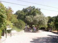 PICT3233.JPG