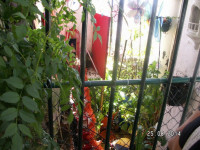 PICT3075.JPG