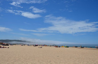 DSC_0664.JPG