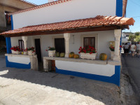 DSCN0395.JPG