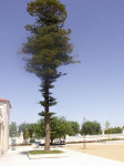 PICT3206.JPG