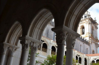 DSC_0423.JPG