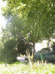 PICT3222.JPG