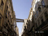 PICT2964.JPG
