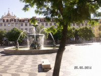 PICT2963.JPG