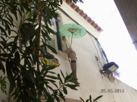 PICT3074.JPG