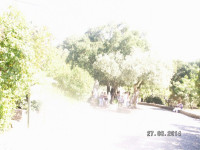 PICT3232.JPG