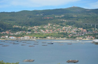 DSC_0807.JPG