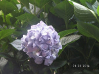 PICT3391.JPG