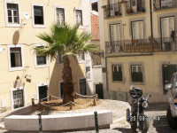 PICT3088.JPG