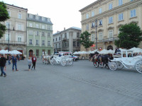 DSC01597.JPG