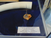 DSC01431.JPG