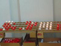 DSC01512.JPG