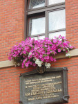 DSC01531.JPG