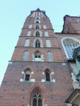 DSC01613.JPG