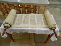 DSCN2203.JPG