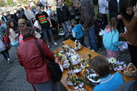 IMG_7458.jpg
