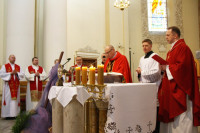 IMG_6495.jpg