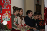 IMG_2929.jpg