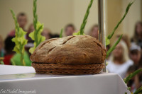 IMG_5080.jpg