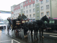 s5006711.jpg