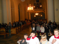 nowe 251.jpg
