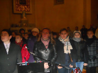 nowe 276.jpg